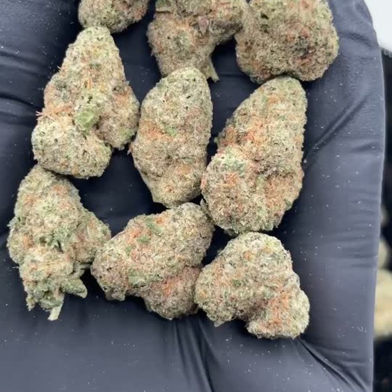 Grape Cream
